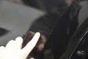 hide__DSC4078.webp