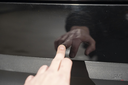 hide__DSC4079.webp