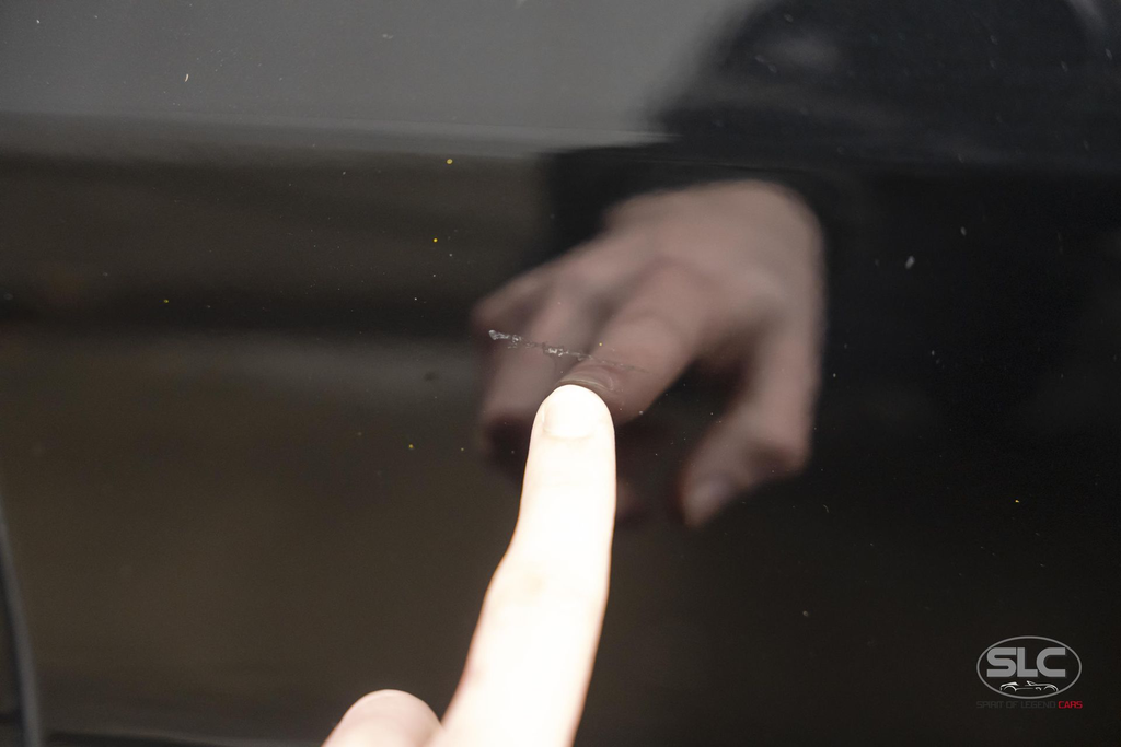 hide__DSC4080.webp