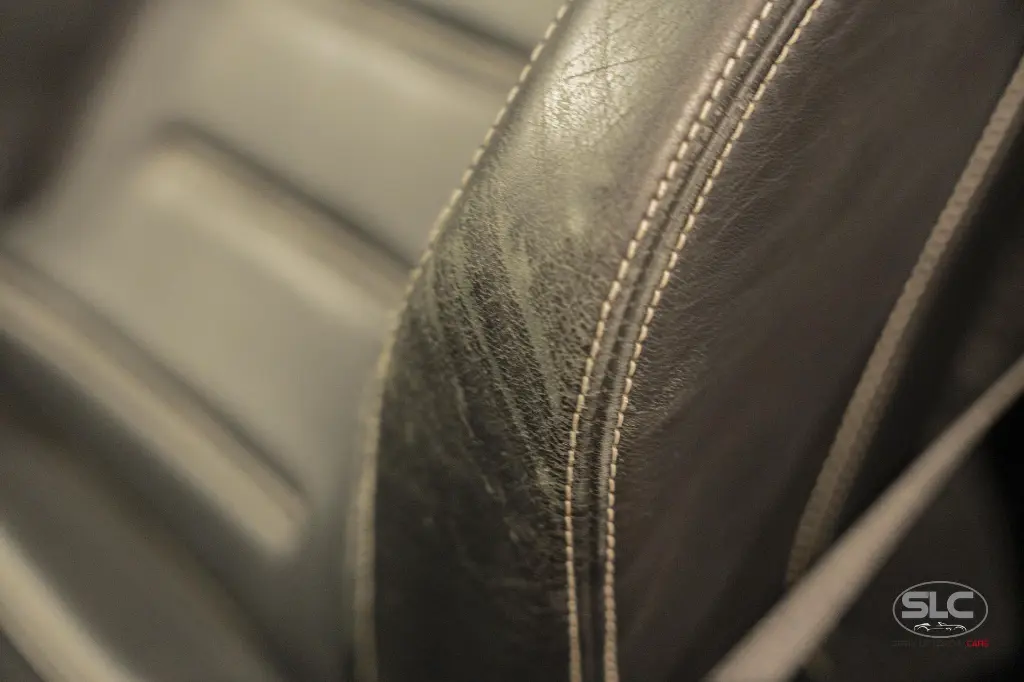 hide__DSC6505.webp