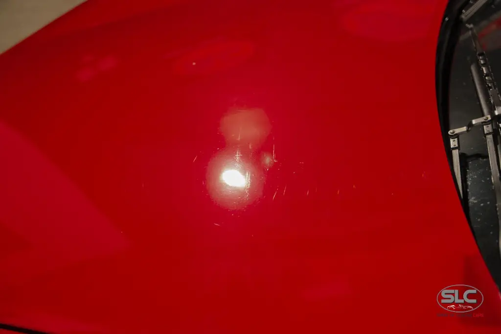 hide__DSC6508.webp