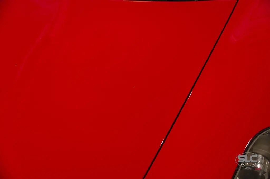 hide__DSC6498.webp
