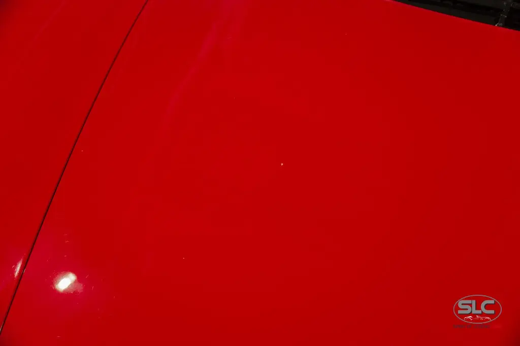 hide__DSC6497.webp
