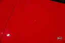 hide__DSC6497.webp