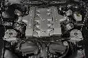 _DSC7113.webp