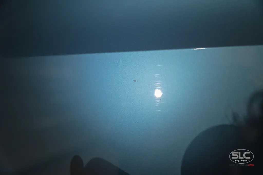 hide__DSC7611.webp