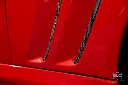 hide__DSC8762.webp