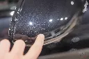 hide__DSC9660.webp
